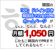 ｢kr｣ドメイン付き韓国語の会社PRホームページが
なんと！月額1,050円